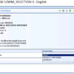 Deploying Syncade Manufacturing Execution System in a Non-English Language