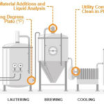 Optimizing Wort Sugar Concentration in Craft Beer Brewing