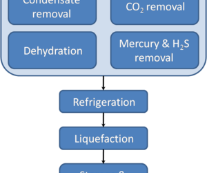 Liquefied Natural Gas Measurement Challenges