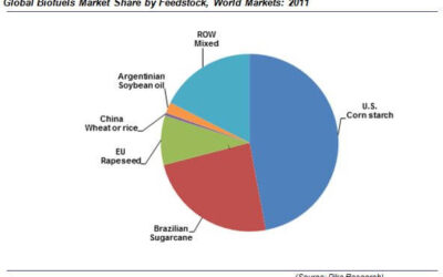 Crude Oil vs. Ethanol – in Brazil?