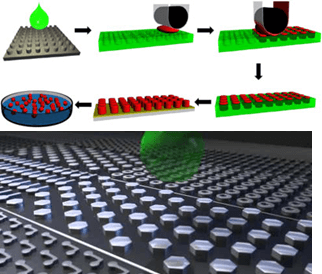 Figure 2. An overview of Liquidia’s PRINT® technology and ability to produce nanoparticles of custom size, shape, and chemical composition.
