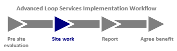 Advanced-Loop-Services-Workflow