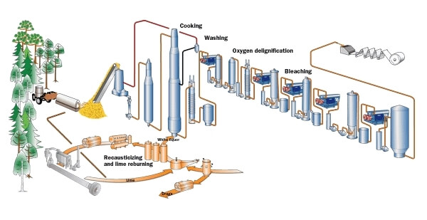 "Pulp mill 2" by Langbein Rise (talk) - I created this work entirely by myself.. Licensed under Public Domain via Wikipedia.