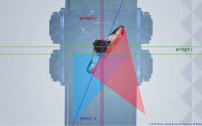 Top-Entry Triple Offset Valves in LNG Applications