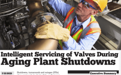 Planning and Tools for Successful Shutdowns, Turnarounds and Outages