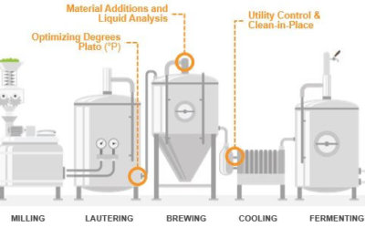 Optimizing Wort Sugar Concentration in Craft Beer Brewing