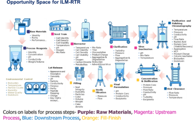 BioPhorum Roadmap for In-line Monitoring and Real-time Release