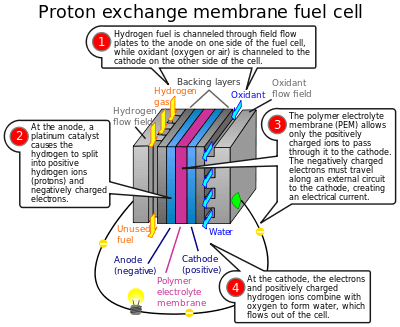 Proton exchange membrane fuel cell