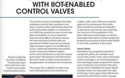 IIoT Sensors, Analytics and Remote Experts for Control Valves