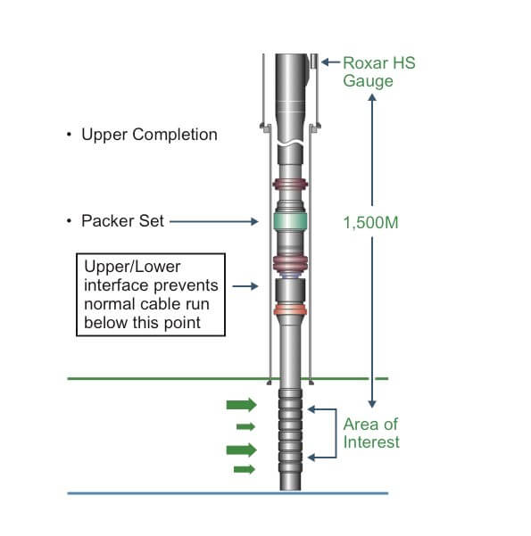 downhole-solutions