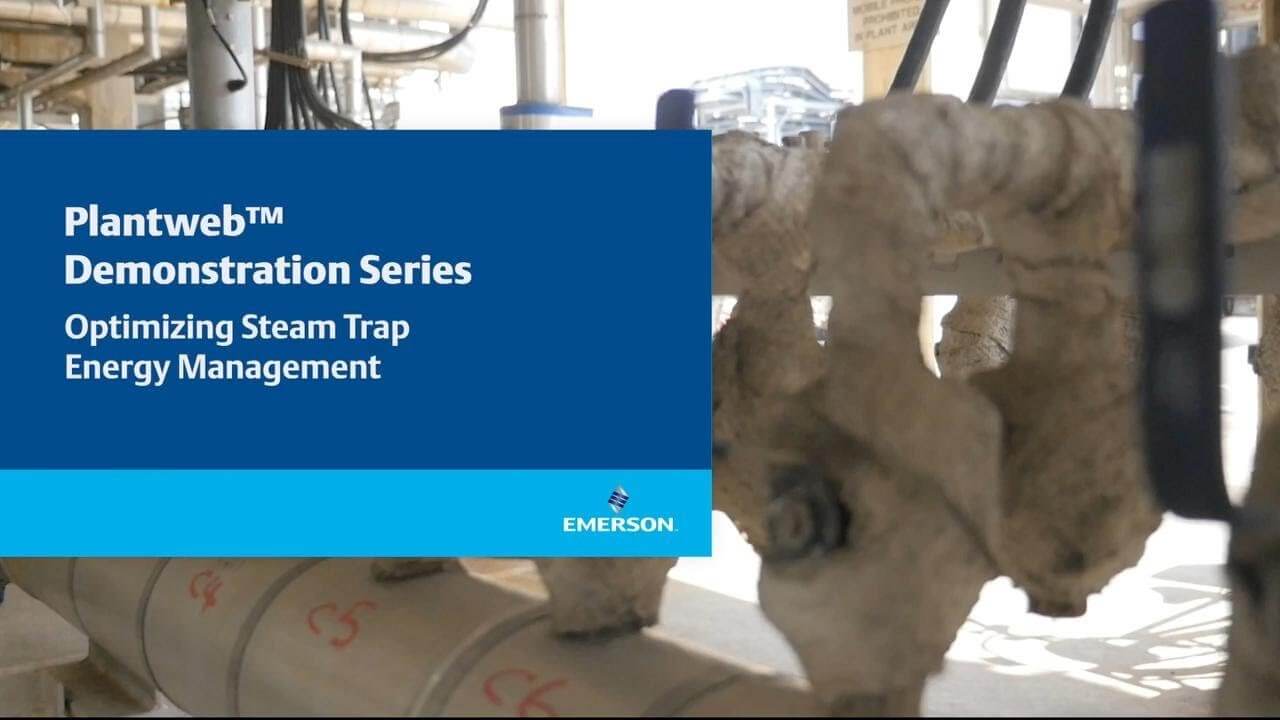 Demonstrating Steam Trap Monitoring
