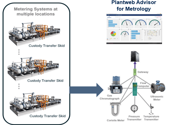 Plantweb Advisor for Metrology