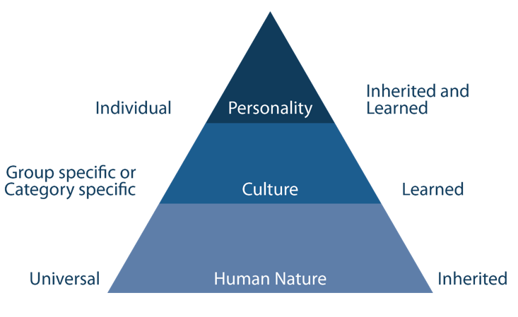 Geert Hofstede’s Cultural Dimensions Theory