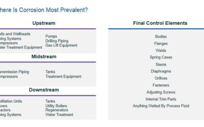 Protecting Final Control Elements in Corrosive Applications