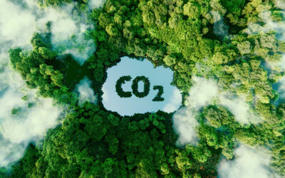 Decarbonizing the Future