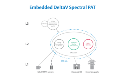 Real-World Implications of Spectral PAT for Life Sciences