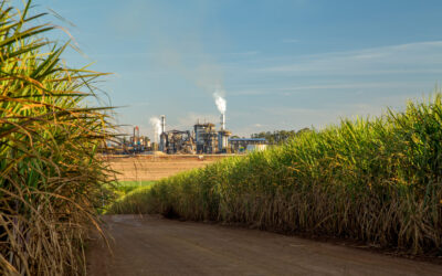 Increasing Efficiency in Sugar Production