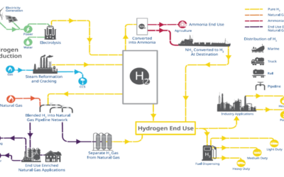 Hydrogen Production with Steam Methane Reforming and CCUS