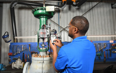 Control Valve Repairing, Why?