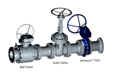 Cryogenic Valve Designs for Liquefied Natural Gas Applications