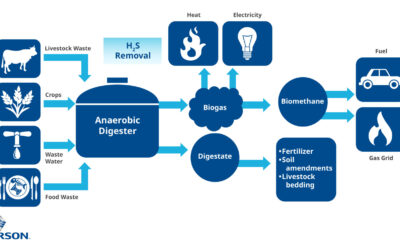 Process Gas Analyzer Strategy for Refining Biogas