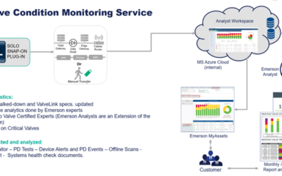 Driving Performance with Digital Valve Controllers
