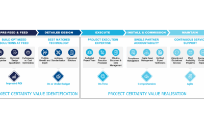 Successfully Planning and Executing Power Projects