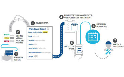 Plant Walkdown Planning for Turnarounds