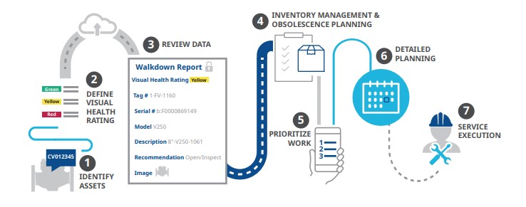 Plant walkdown process