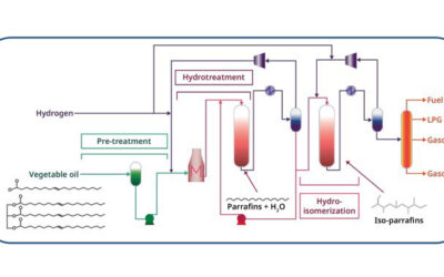 Corrosion Risks in Biofuel Processing and How Operators Can Respond